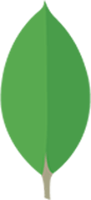 MongoDB