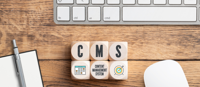 CMS Development