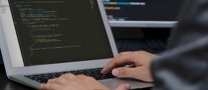 Custom Vue.js Development