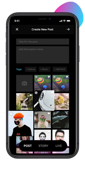 Key Features & Functionality